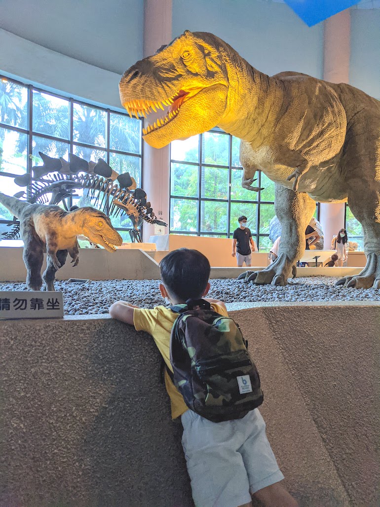 台中室內親子景點自然科學博物館/恐龍生命教育一次滿足