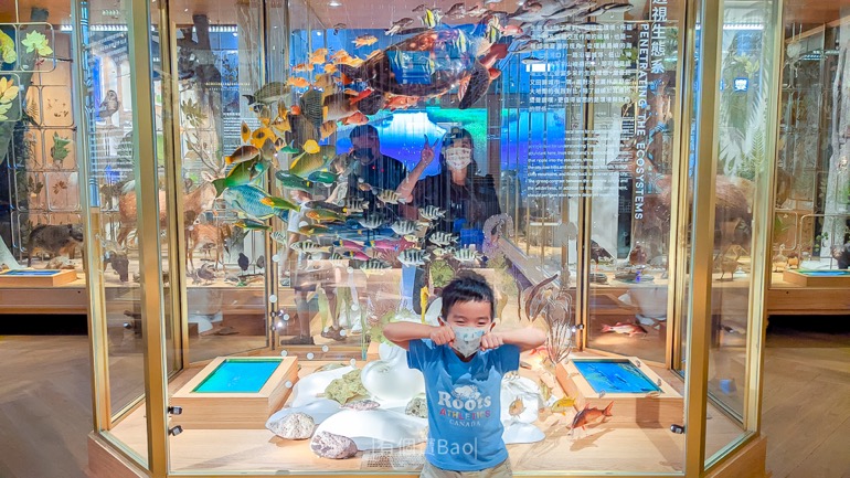 國立臺灣博物館本館-高質感展場設計、視覺知識提升之旅