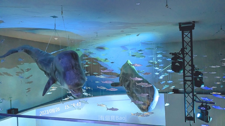 國立海洋科技博物館-基隆親子景點推薦
